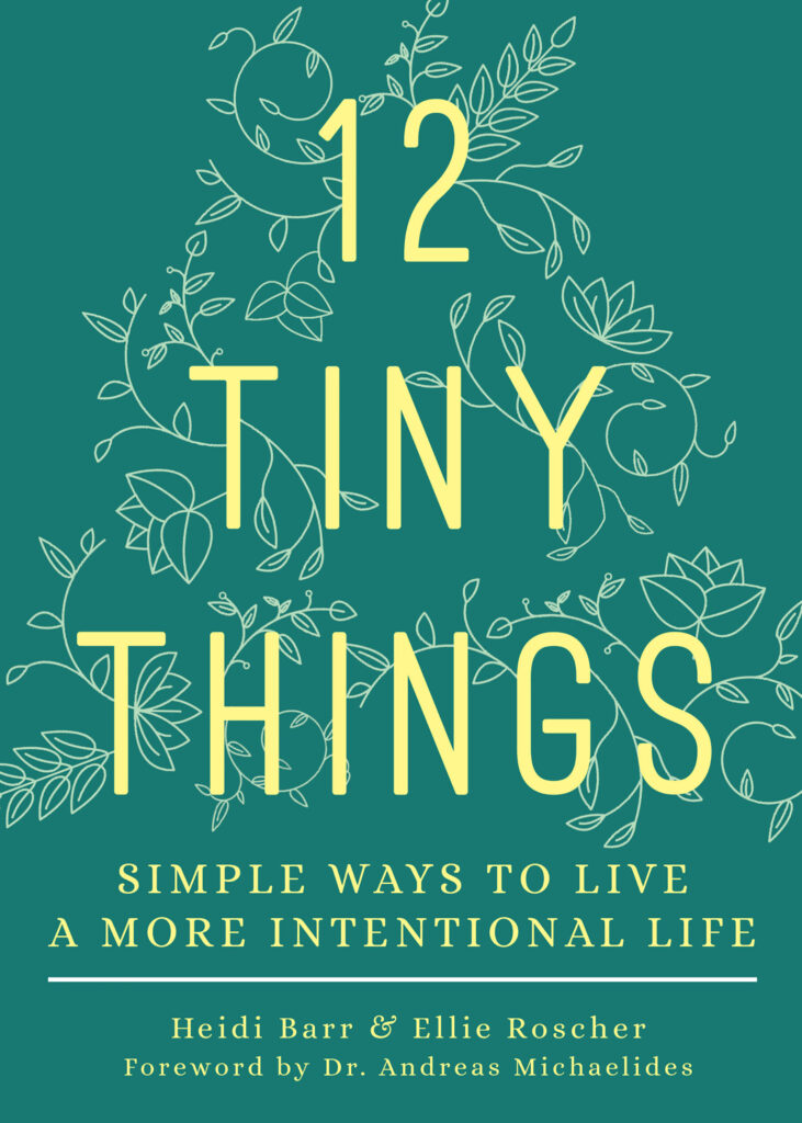 12 Tiny Things 731x1024 