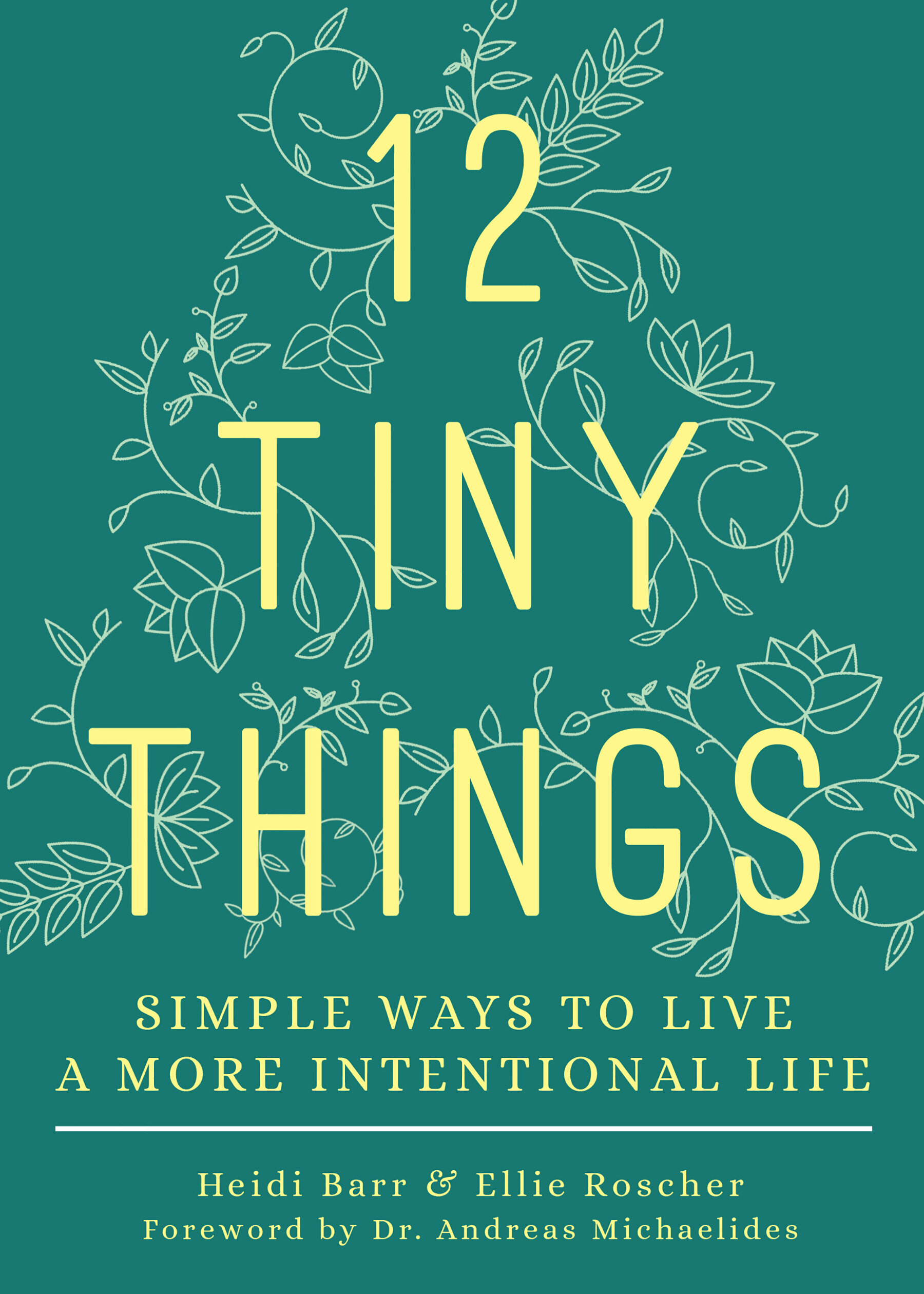 Book Cover of 12 Tiny Things by Heidi Barr