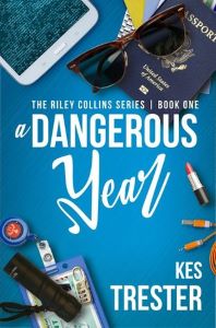 Book Cover: A Dangerous Year