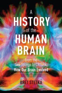 Book Cover: History Of The Human Brain